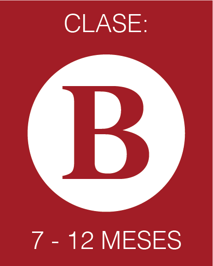 Clase B