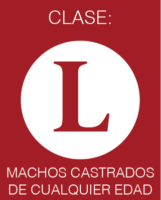 Clase L