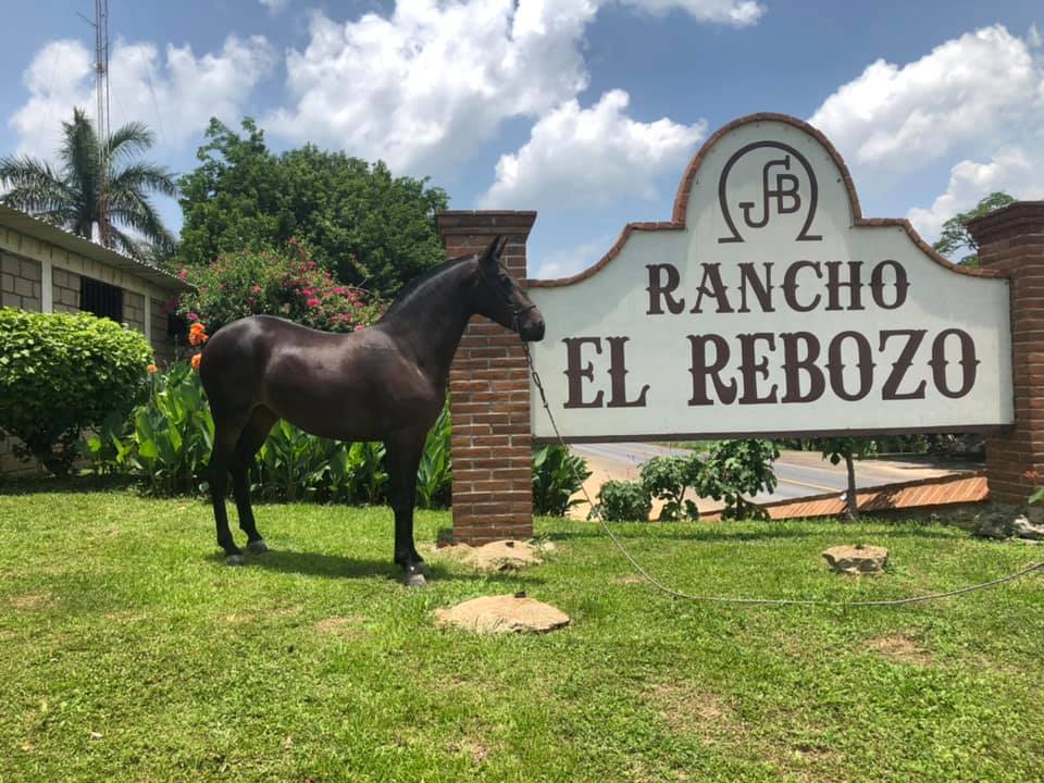 AMCCI | RANCHO EL REBOZO